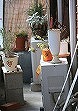 マイナビニュースに掲載│編集プロダクション ホームページ│ユンブル